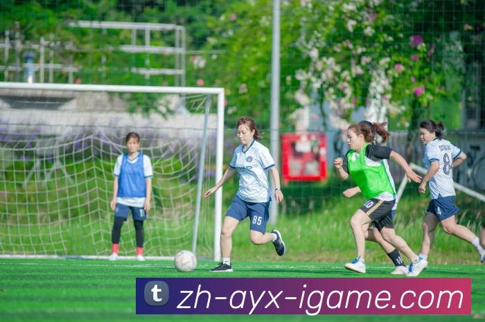 爱游戏品牌故事