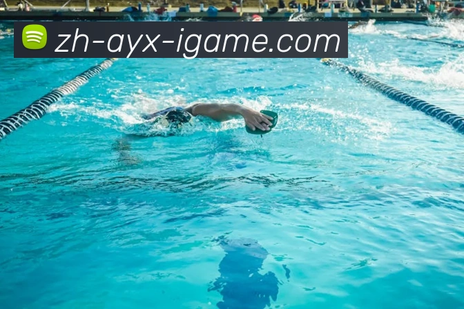 爱游戏服务体系